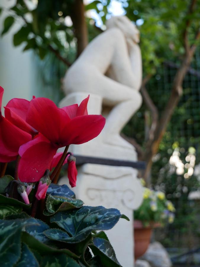 Donna Nicla B&B マテーラ エクステリア 写真